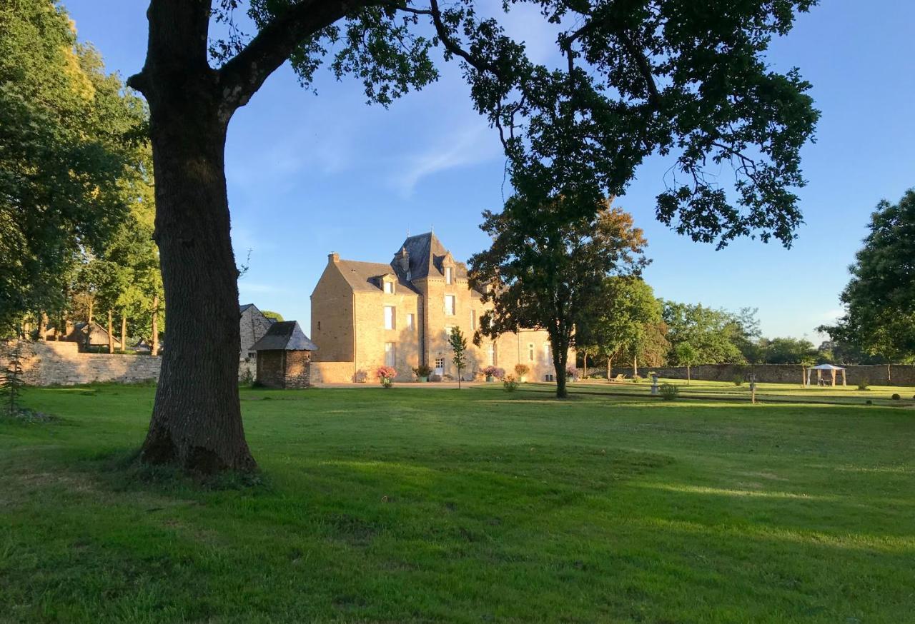 Chateau De Cadouzan Saint-Dolay Экстерьер фото